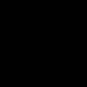 Meet your Posher, Audra